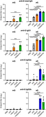 Non-glycosylated G protein with CpG ODN provides robust protection against respiratory syncytial virus without inducing eosinophilia